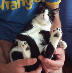 chat